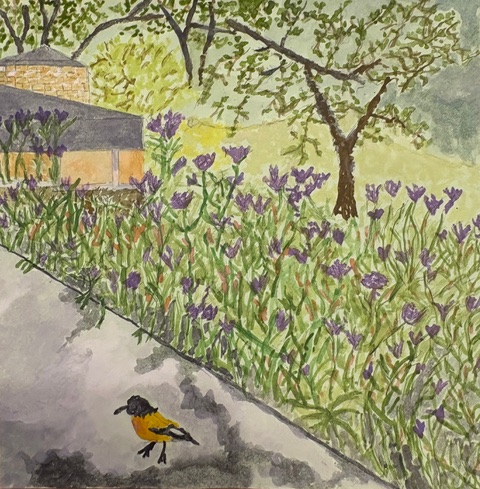 Dina Sokal – The&nbsp;Hug